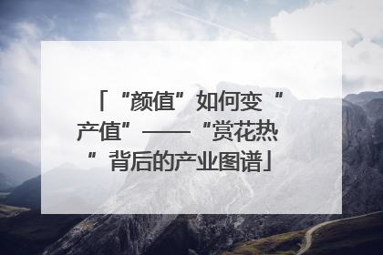 “颜值”如何变“产值”——“赏花热”背后的产业图谱