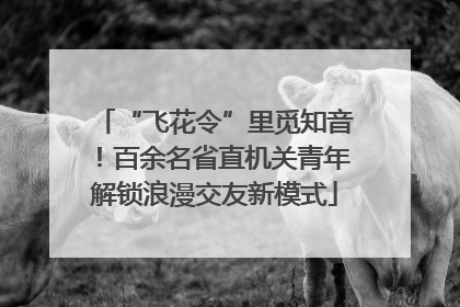 “飞花令”里觅知音！百余名省直机关青年解锁浪漫交友新模式