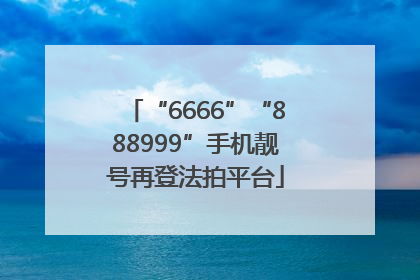“6666”“888999”手机靓号再登法拍平台