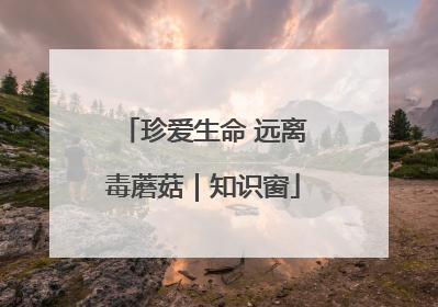 珍爱生命 远离毒蘑菇｜知识窗