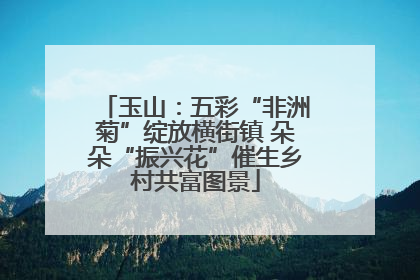 玉山：五彩“非洲菊”绽放横街镇 朵朵“振兴花”催生乡村共富图景