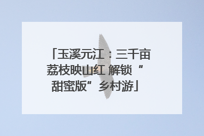 玉溪元江：三千亩荔枝映山红 解锁“甜蜜版”乡村游