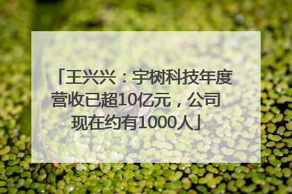 王兴兴：宇树科技年度营收已超10亿元，公司现在约有1000人