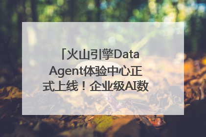火山引擎Data Agent体验中心正式上线！企业级AI数据专家触手可及