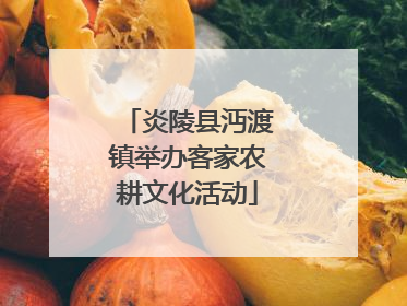 炎陵县沔渡镇举办客家农耕文化活动