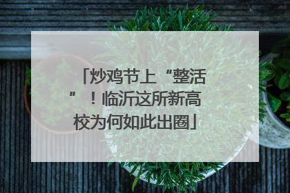炒鸡节上“整活”！临沂这所新高校为何如此出圈
