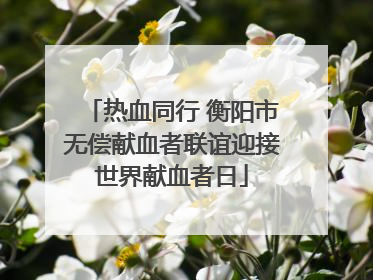 热血同行 衡阳市无偿献血者联谊迎接世界献血者日