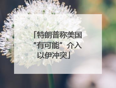 特朗普称美国“有可能”介入以伊冲突
