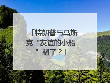 特朗普与马斯克“友谊的小船”翻了？