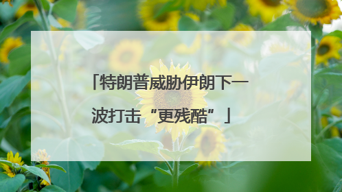 特朗普威胁伊朗下一波打击“更残酷”