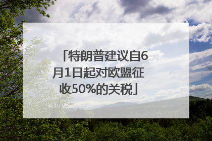 特朗普建议自6月1日起对欧盟征收50%的关税