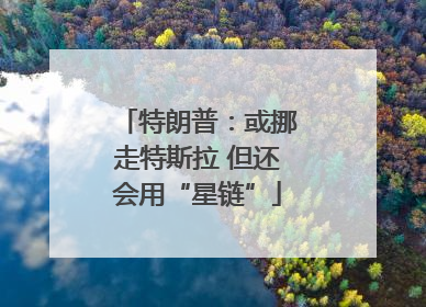 特朗普：或挪走特斯拉 但还会用“星链”
