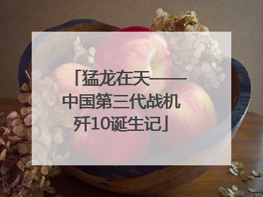 猛龙在天——中国第三代战机歼10诞生记