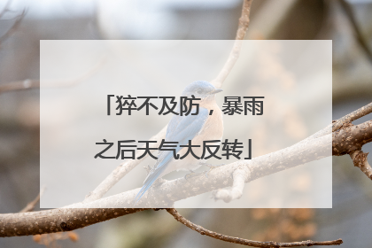 猝不及防，暴雨之后天气大反转