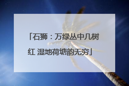 石狮：万绿丛中几树红 湿地荷塘韵无穷