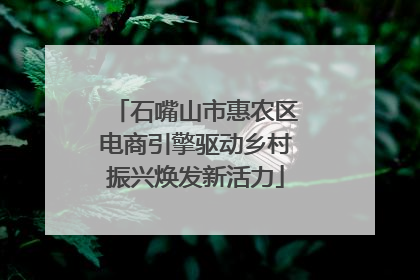 石嘴山市惠农区电商引擎驱动乡村振兴焕发新活力