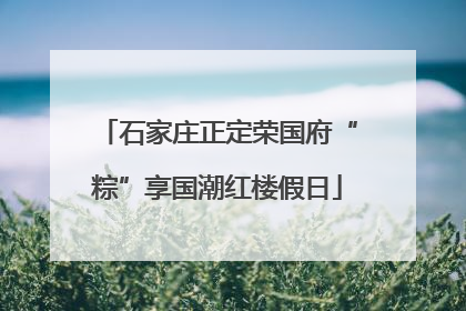 石家庄正定荣国府“粽”享国潮红楼假日