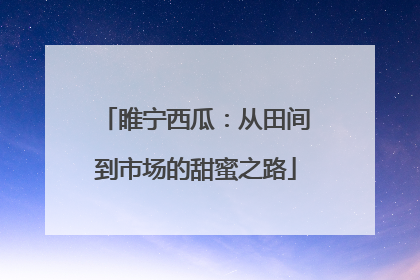 睢宁西瓜：从田间到市场的甜蜜之路