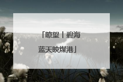 瞭望丨碧海蓝天映煤港