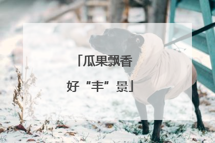 瓜果飘香 好“丰”景