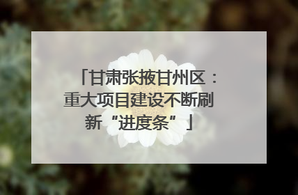 甘肃张掖甘州区：重大项目建设不断刷新“进度条”