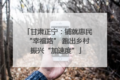 甘肃正宁：铺就惠民“幸福路” 跑出乡村振兴“加速度”
