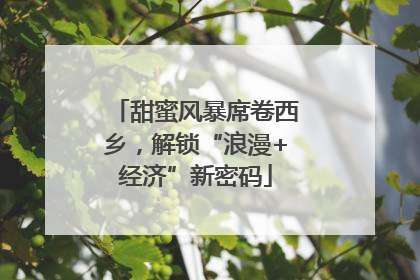 甜蜜风暴席卷西乡，解锁“浪漫+经济”新密码