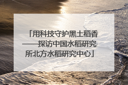 用科技守护黑土稻香——探访中国水稻研究所北方水稻研究中心