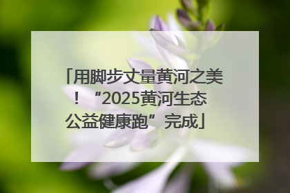用脚步丈量黄河之美！“2025黄河生态公益健康跑”完成