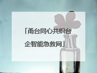 甬台同心共织台企智能急救网