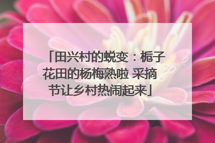 田兴村的蜕变：栀子花田的杨梅熟啦 采摘节让乡村热闹起来