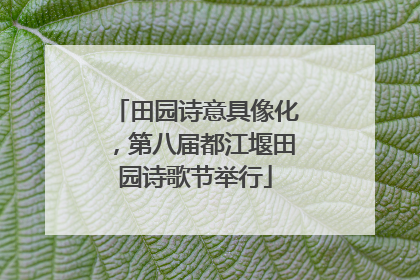 田园诗意具像化，第八届都江堰田园诗歌节举行