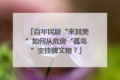 百年民居“来其美”如何从危房“孤岛”变挂牌文物？