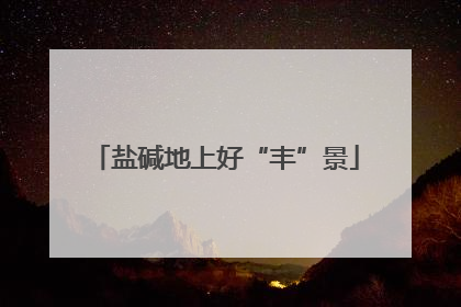 盐碱地上好“丰”景
