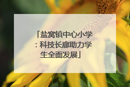 盐窝镇中心小学：科技长廊助力学生全面发展