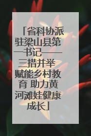 省科协派驻梁山县第一书记——三措并举 赋能乡村教育 助力黄河滩娃健康成长