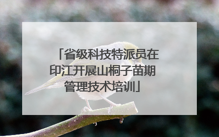 省级科技特派员在印江开展山桐子苗期管理技术培训