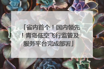 省内首个！国内领先！青岛低空飞行监管及服务平台完成部署