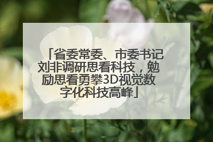省委常委、市委书记刘非调研思看科技，勉励思看勇攀3D视觉数字化科技高峰