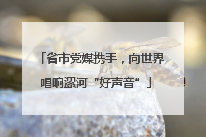 省市党媒携手，向世界唱响漯河“好声音”
