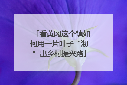 看黄冈这个镇如何用一片叶子“沏”出乡村振兴路