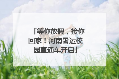 等你放假，接你回家！河南暑运校园直通车开启