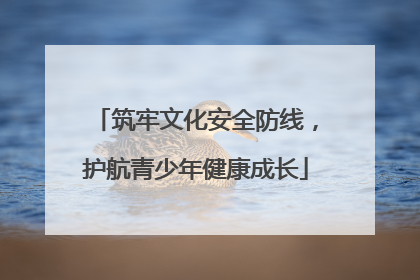 筑牢文化安全防线，护航青少年健康成长