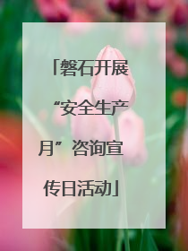 磐石开展“安全生产月”咨询宣传日活动