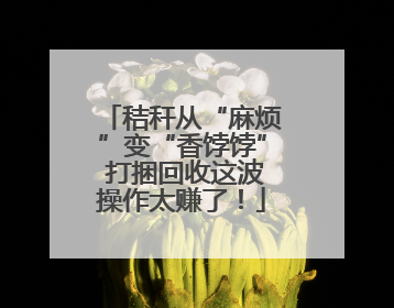 秸秆从“麻烦”变“香饽饽” 打捆回收这波操作太赚了！