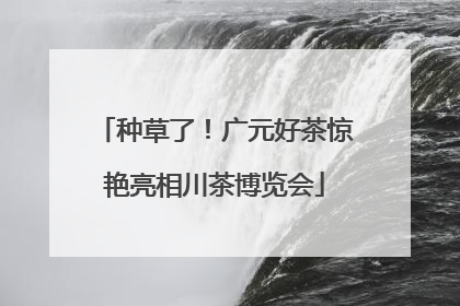 种草了！广元好茶惊艳亮相川茶博览会