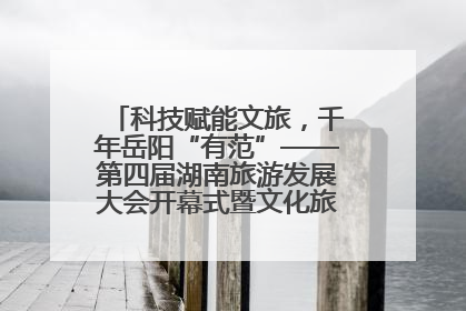 科技赋能文旅，千年岳阳“有范”——第四届湖南旅游发展大会开幕式暨文化旅游推介会侧记