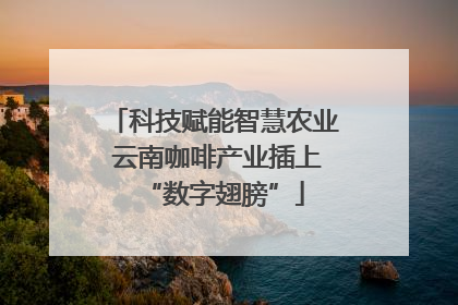 科技赋能智慧农业 云南咖啡产业插上“数字翅膀”