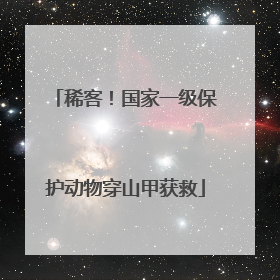 稀客！国家一级保护动物穿山甲获救