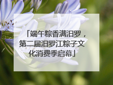 端午粽香满汨罗，第二届汨罗江粽子文化消费季启幕